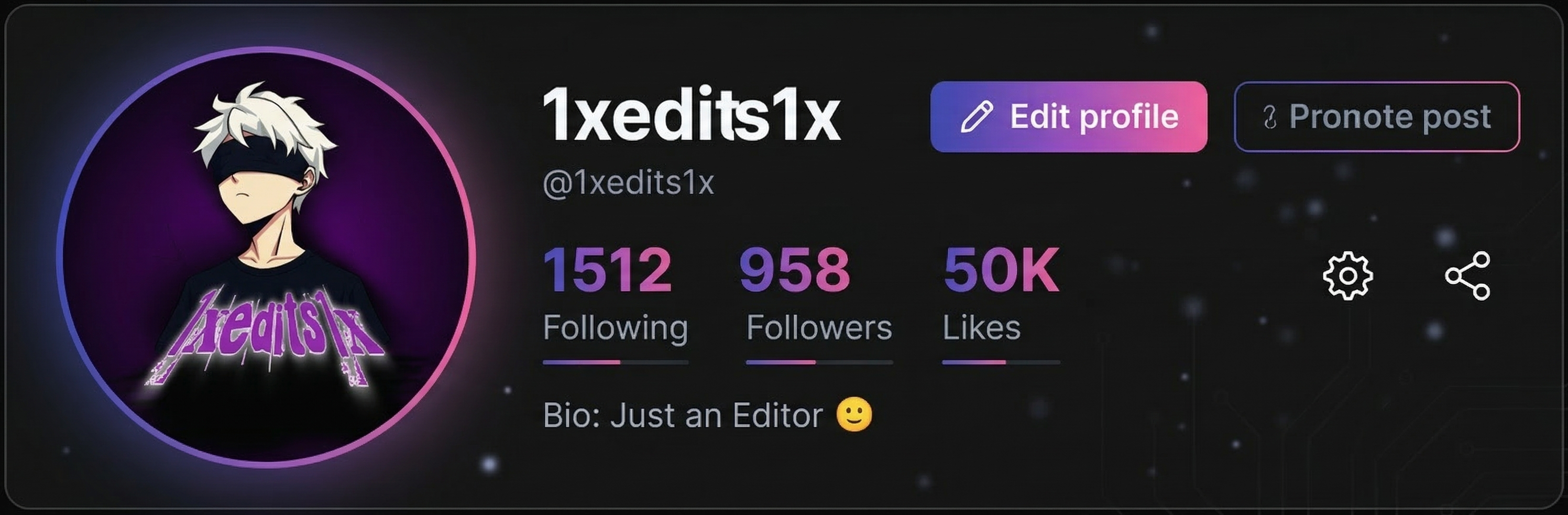 TikTok Profile 1
